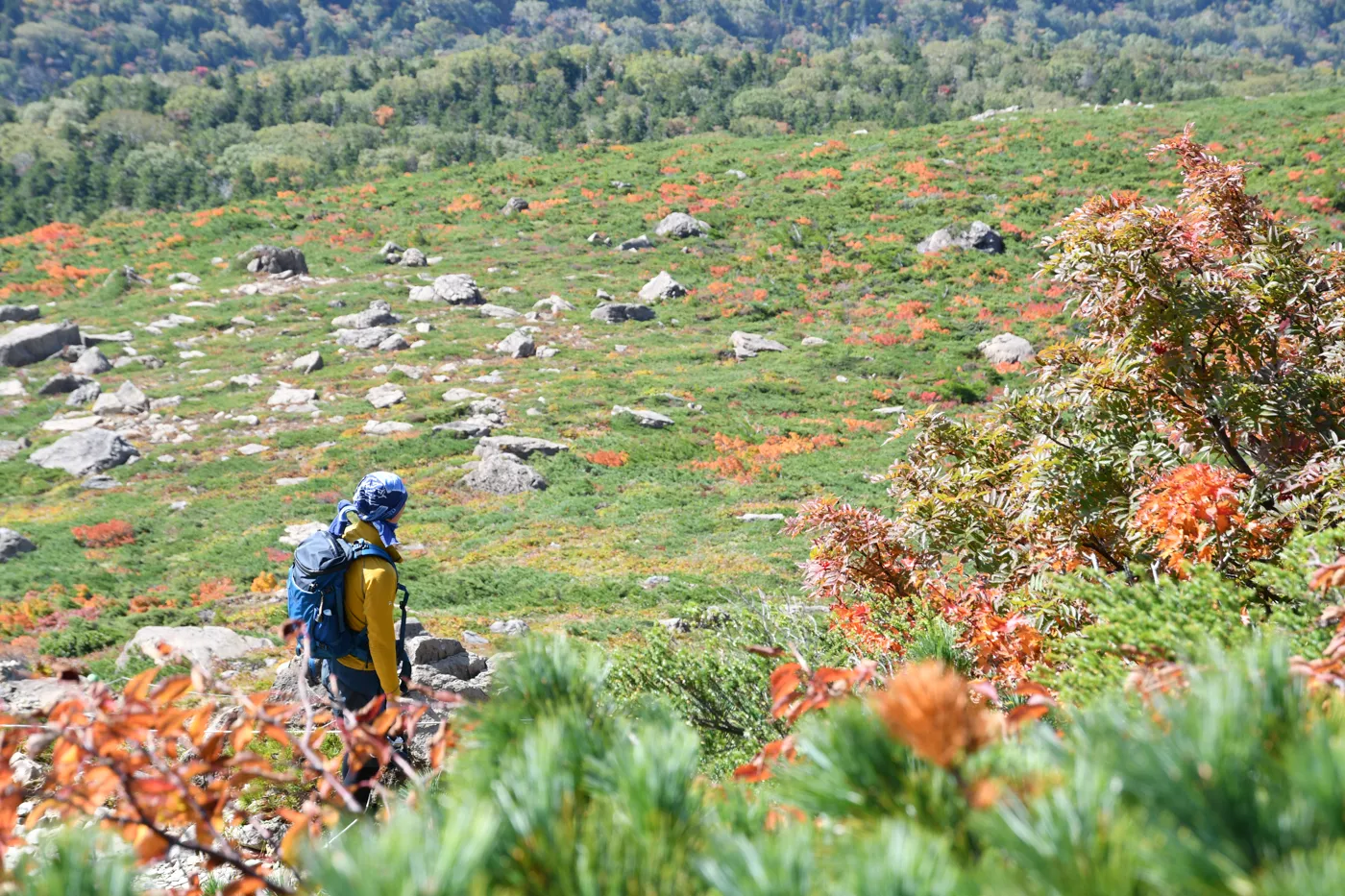 早池峰山 登山