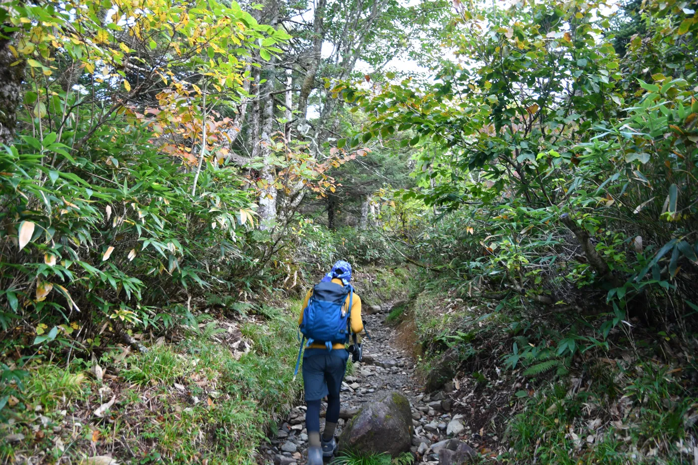 早池峰山 登山