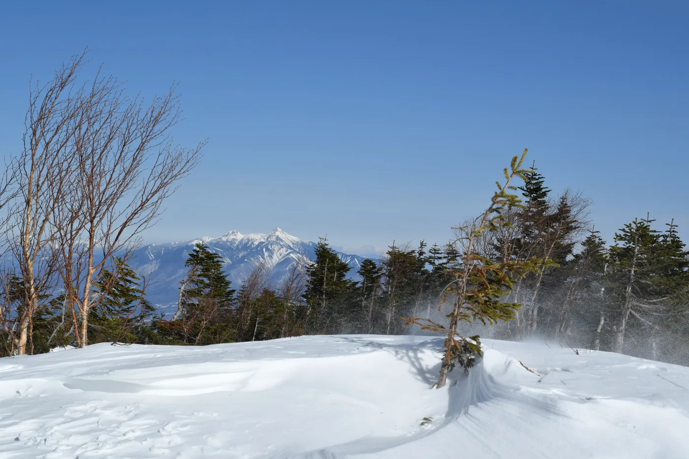鳳凰山 冬季 登山