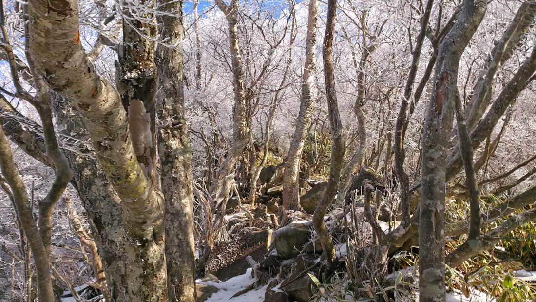 黒檜山 登山